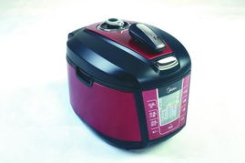 2010年度消費(fèi)者最喜愛(ài)的小家電產(chǎn)品盤(pán)點(diǎn)